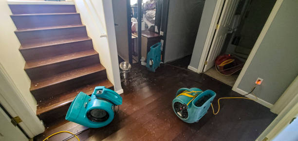 Best Mold removal after water damage  in North Pole, AK