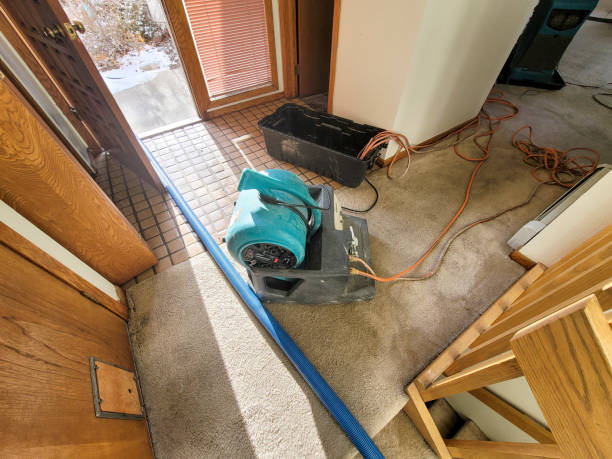 Best Water damage restoration near me  in North Pole, AK