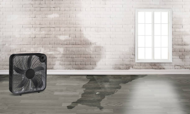 Water damage restoration experts in AK