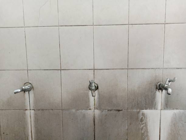 Best Professional water damage repair  in North Pole, AK