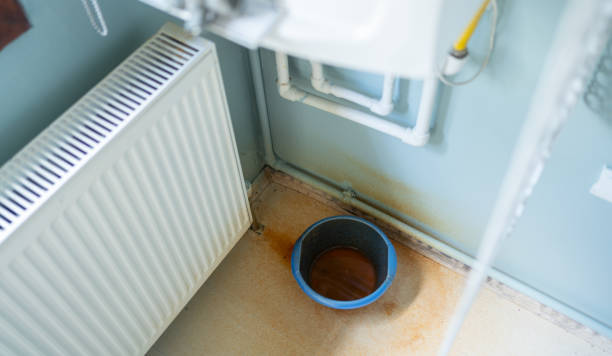 Best Flood restoration services  in North Pole, AK